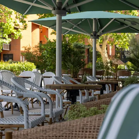 Hotel The Social Hub Extended 4*